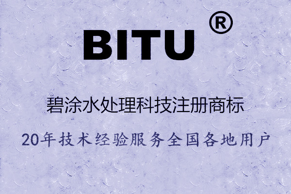 BT0110反渗透阻垢剂成山东某知名企业指定产品
